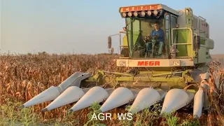 CLAAS MEGA 204 | 硬質玉米採收機 | Corn Harvest 20190227