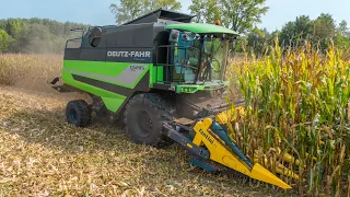 Deutz Fahr C6205 TS + Fantini 6 rows | Corn Threshing 🌽