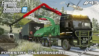 Making WOODCHIPS for PAPER PRODUCTION | Forestry on ERLENGRAT | Farming Simulator 22 | Episode 43