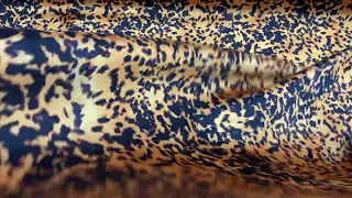 Dappled Leopard Bonded Sateen On Stretch Crepe #10369