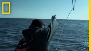 Season 1 New Episodes | Wicked Tuna