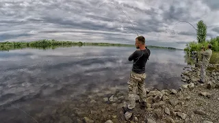 МЫ НАШЛИ ЗОЛОТУЮ ЖИЛУ - ЖОР СУДАКА НА ДНЕПРЕ! ЛОВЛЯ СУДАКА ЛЕТОМ С БЕРЕГА! Рыбалка на спиннинг 2022