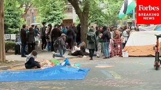 HAPPENING NOW: George Washington University Campus In Washington, DC, Sees Pro-Palestinian Protests