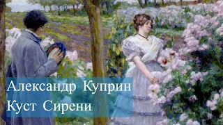 Александр Куприн-Куст сирени
