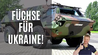 Neue Transportpanzer und Schützenpanzer für Ukraine! Der TPz Fuchs bekommt Zähne!