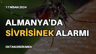 Almanya'da sivrisinek alarmı - 17 Nisan 2024 Oktan Erdikmen