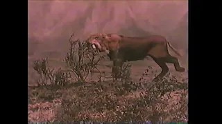 Journey to the Beginning of Time [1955] - Smilodon Screen Time