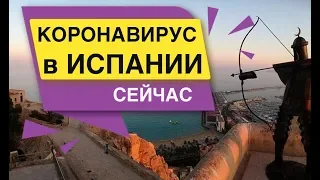 Коронавирус в Испании сейчас Салоу Торревьеха