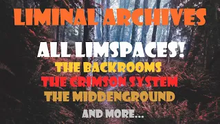 Every Limspace of The Backrooms & other Limspace Systems (Liminal Archives)