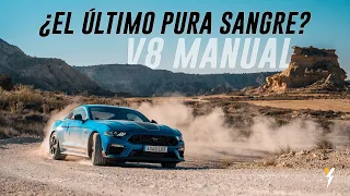 Ford Mustang Mach 1 2022 - Prueba / Review en español | HolyCars TV 🚀