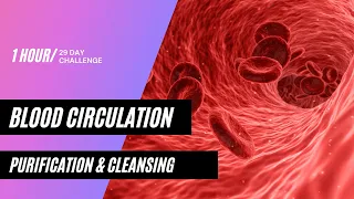 Improve Blood Circulation in Whole Body | Purification & Cleansing | Pure Monaural - Binaural Beats