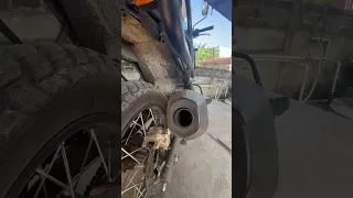 Himalayan Exhaust Status Shorts