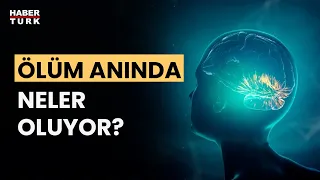 Beyin ölüm anını nasıl algılıyor? Prof. Dr. Derya Uludüz yanıtladı