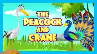 THE PEACOCK AND CRANE - MORAL STORY FOR KIDS || KIDS LEARNING STORIES