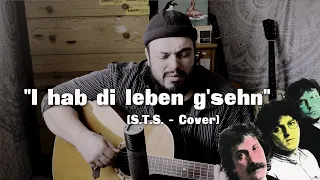 I hab di leben g'sehn (S.T.S. Cover)