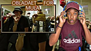 RUSSIAN RAP/DRILL🇷🇺 | OBLADAET — FOR MULA [Reaction!!!]