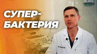 Аккермансия муцинифила - самая полезная из всей микрофлоры кишечника. Польза огромна.