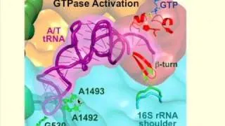 Nobel Laureate Lecture:  Dr. Venkatraman "Venki" Ramakrishnan