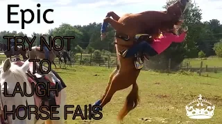 Try not to laugh - horse fails