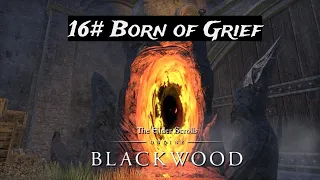 Elder Scrolls Online | Blackwood | 16# Born of Grief  | Deadlands DLC | Let's Play |