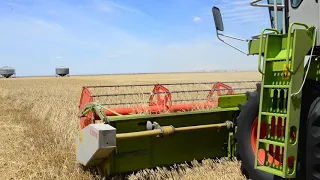 Claas Dominator 68S - 2016/17 Harvest - South Australia