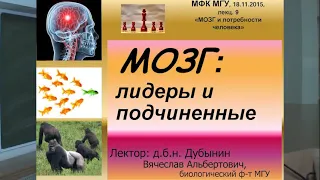 Лекция 9  "Мозг: лидеры и подчиненные" Лектор: Дубынин В.А. (МГУ)