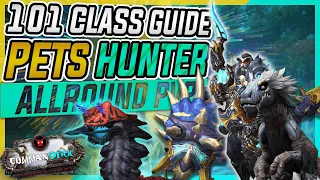 WoW - Best Hunter Pets - PvP Guide - Top 5 Dragonflight