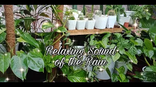 Vlog #71: Relaxing sound of the Rain (May 12, 2021)