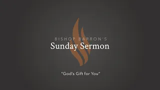 God’s Gift for You — Bishop Barron’s Sunday Sermon