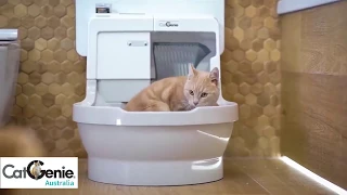 CatGenie Self-Washing Cat Litter Box