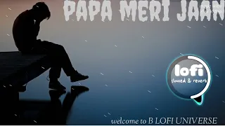 PAPA MERI JAAN  lofi 🎧🎧song #animal movie song (slowed and reverb) 😅🎧@tseries