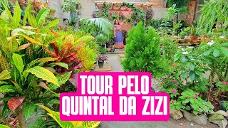 TOUR PELO QUINTAL DA ZIZI: Plantas de sol, sombra, folhagem, cacto, suculenta, aglaonema, begonia...