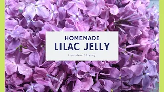 Making Lilac Jelly With The Boys
