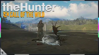 I Finally Got A Great One Fallow Deer