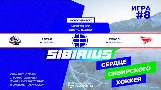 Матч №8 • Алтай — Сокол • 2015-U9 • Арена ЛДС Кольцово • 1 апреля 2023 в 11:30