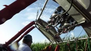 Полеты на воздушном шаре в Доминикане, приземление на поле сахарного тростника