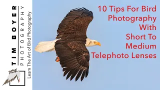 10 Tips For Bird Photography with a Short to Medium Telephoto Lens