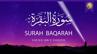 سورة البقرة الشيخ ابن حقیق القران الكريم مباشر| 035 |  Surat Al-Baqarah Quran Recitation