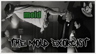 The Kodak Killer! // Mold Exorcist | Skinwalker | Polaroid | FREE Scary Games!