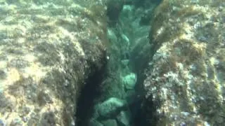 подводный мир