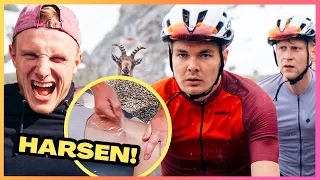 CLIMBING THE STELVIO AFTER 80 DAYS OF TRAINING? 🥵 | THE RIDE OF OUR LIVES #4