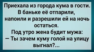 Как Мужик Наглую Куму Из Дома Выгнал! Сборник Свежих Анекдотов! Юмор!