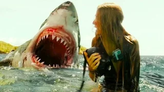 The Shallows | Scariest Scene (White Shark Attack)