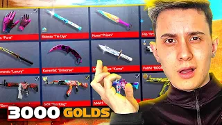 COM 3000 GOLDS FIZ O INVENTÁRIO MAIS COMPLETO DO STANDOFF 2 🇧🇷