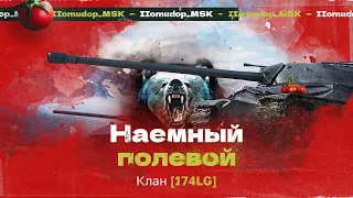 Помидор - наемный полевой 174LG