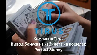 Компания #Тайрус / #Tirus. Вывод бонуса из кабинета на кошелек Perfect Money.