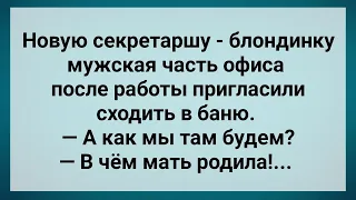 Мужики Приглосили Секретаршу в Баню! Сборник Свежих Анекдотов! Юмор!