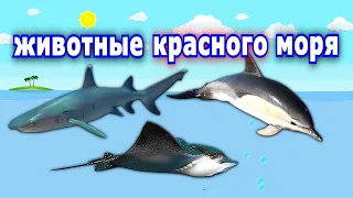 ПОДВОДНЫЙ мир | серия 4 | Морские животные КРАСНОГО моря. Развивающие мультики