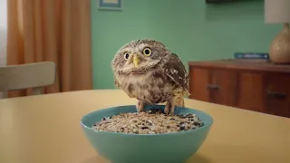 Arla: Fibre  (2018)