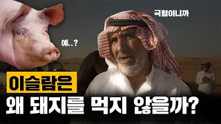 이슬람교가 돼지고기를 금기시하는 현실적인 이유